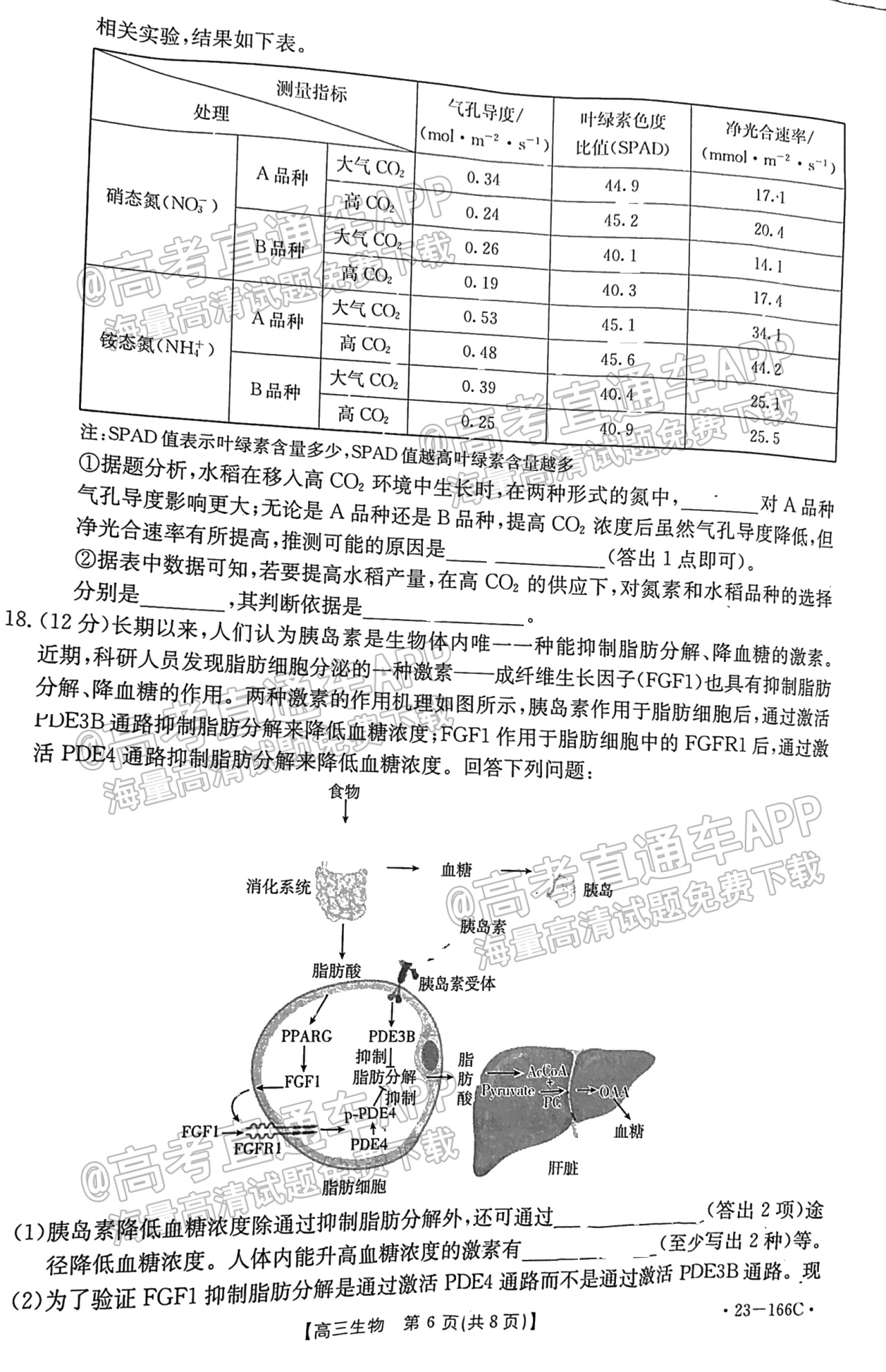 广东省生物卷，探索与挑战的旅程（2023年）