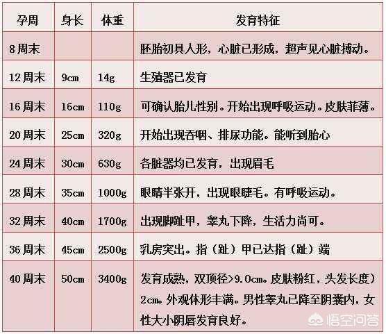 胎儿八个月的体重发展及其影响因素