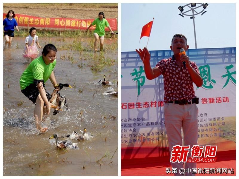 衡阳房产拍卖，市场现状与发展趋势