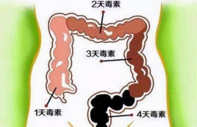 一个月不排便，身体会发生什么？