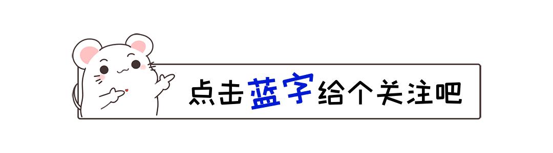 广东财运贸易有限公司，繁荣的商业脉络与卓越的企业理念